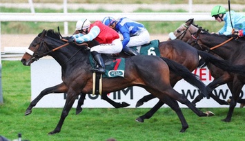 Bet3000 Pferdewetten