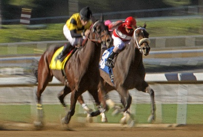 Interwetten Pferdewetten